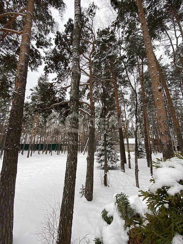 Участок 36 сот.