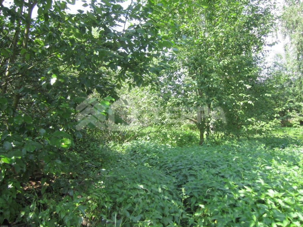 Участок 22 сот.