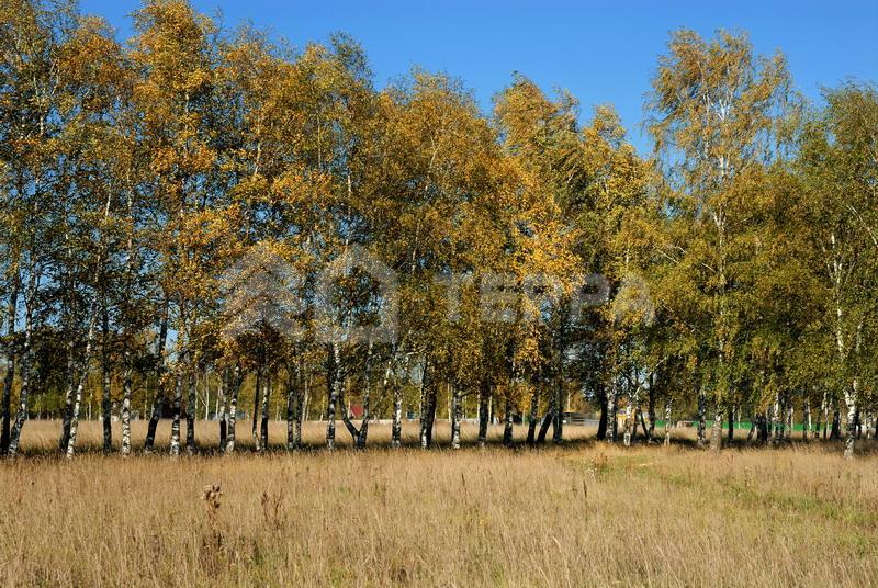 Участок 11 сот. в охраняемом поселке