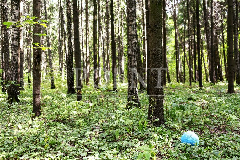 Участок 11.9 сот. в охраняемом поселке