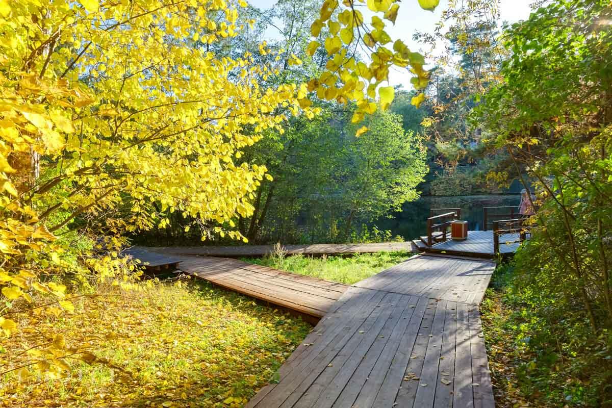 Участок 67 сот.