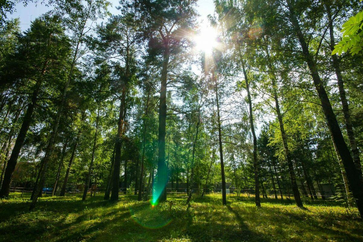 Участок 134 сот. в охраняемом поселке