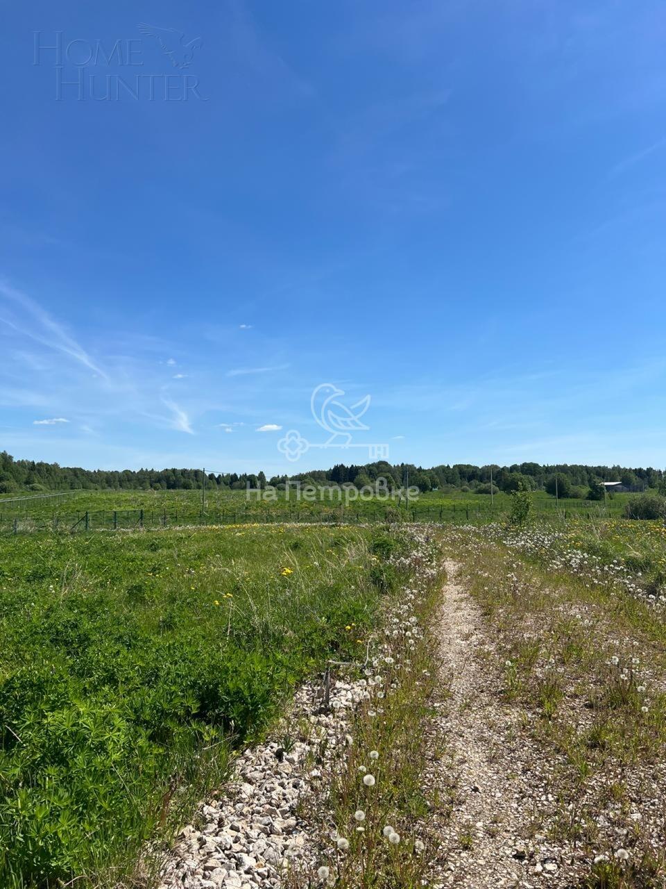 Участок 40 сот.