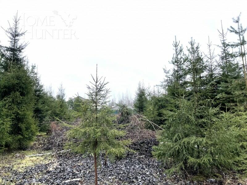 Участок 150 сот.