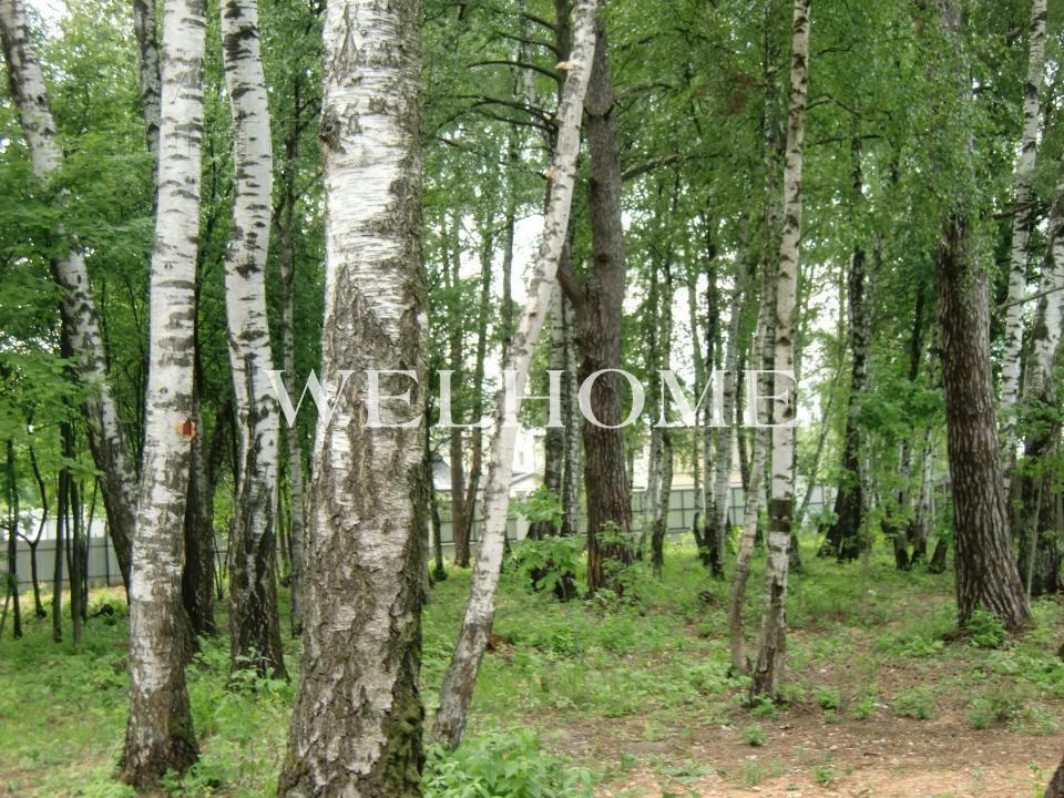 Участок 38 сот. в охраняемом поселке