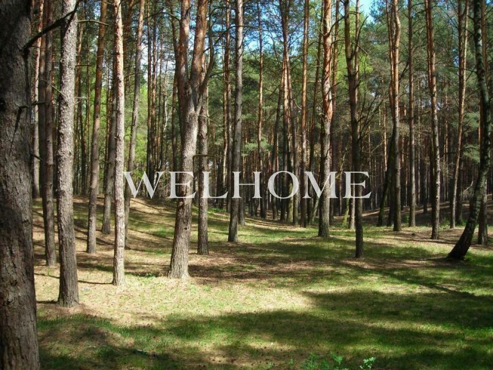 Участок 38 сот. в охраняемом поселке