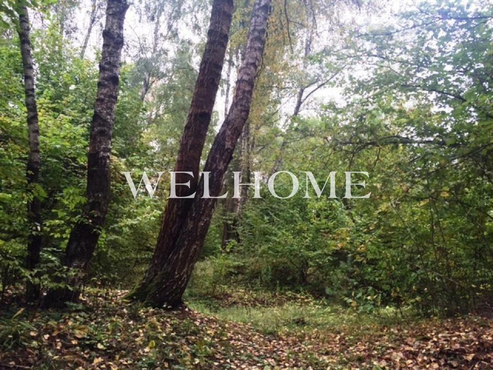 Участок 117 сот. в охраняемом поселке