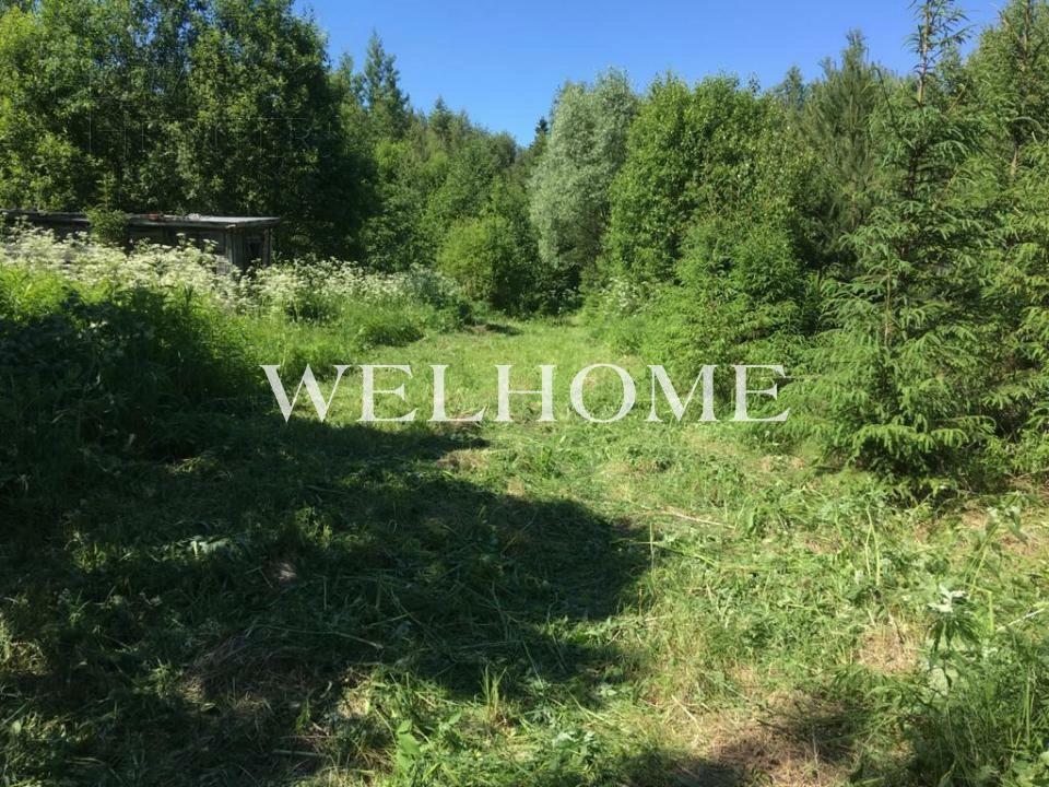 Участок 450 сот.