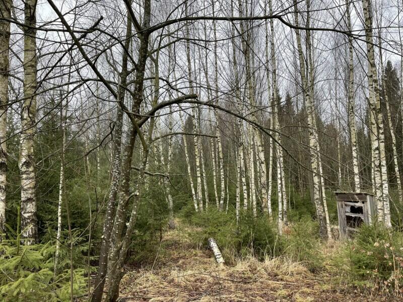 Участок 150 сот.