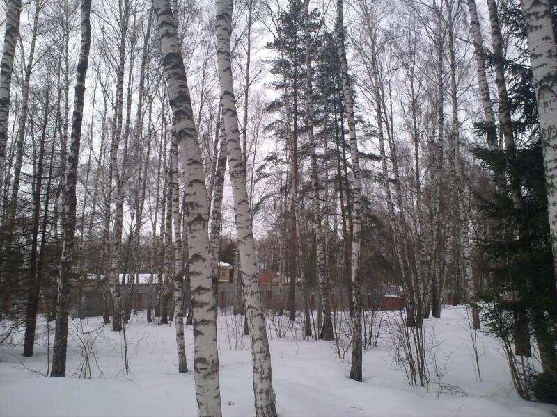 Участок 15 сот.