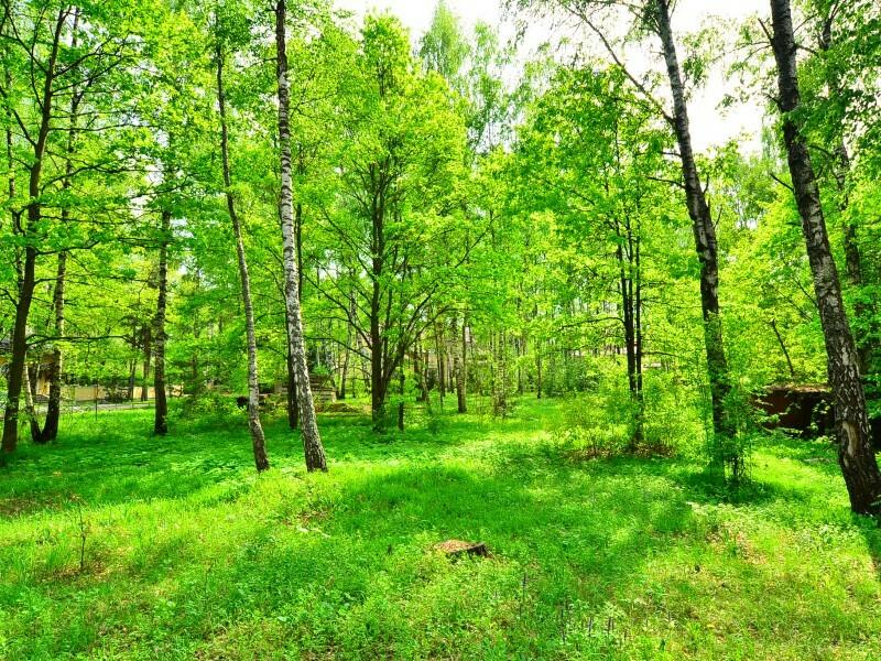 Участок 15 сот.