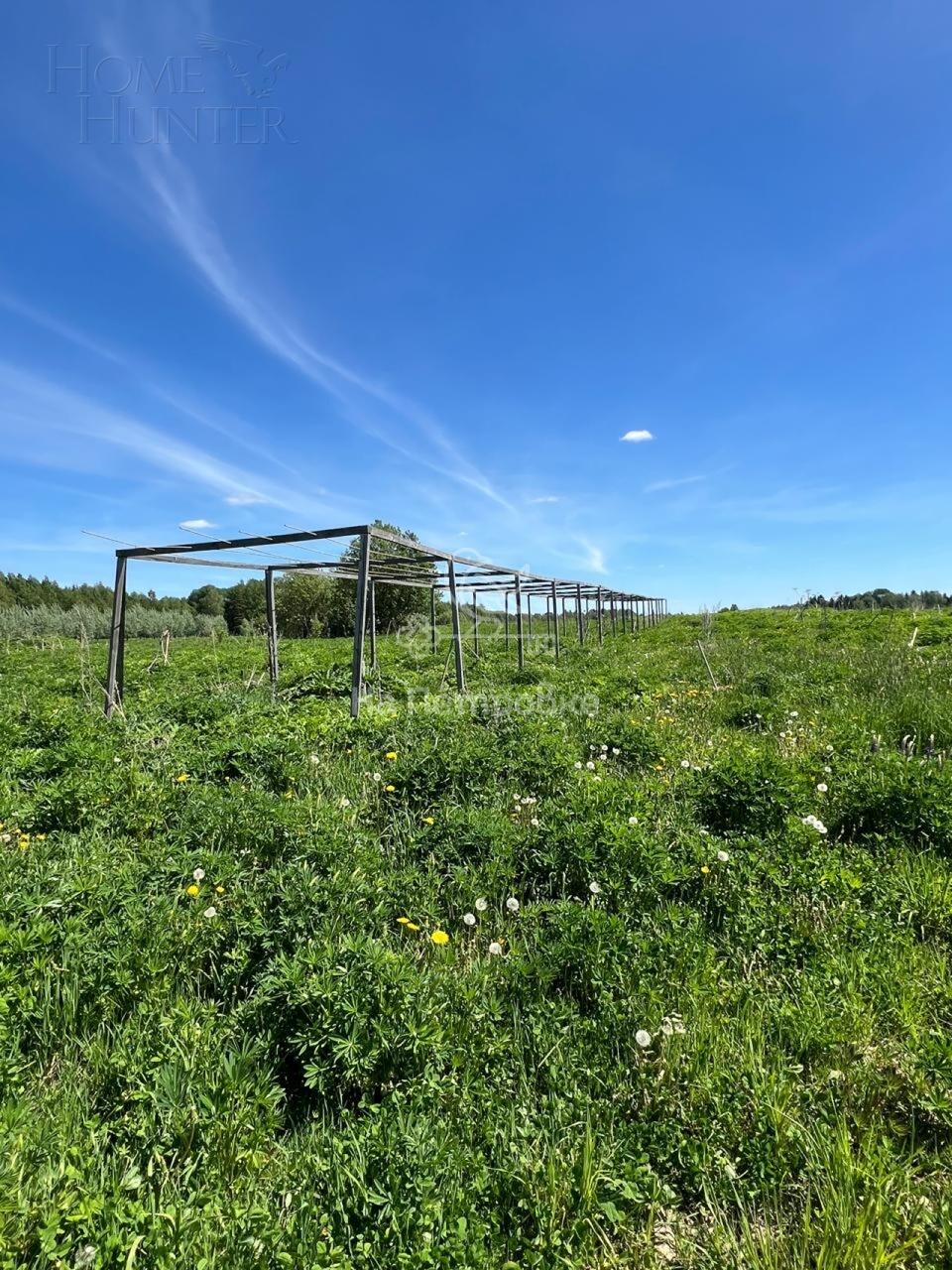 Участок 40 сот.