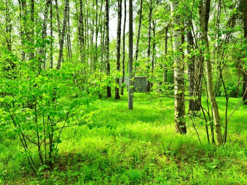 Участок 15 сот.