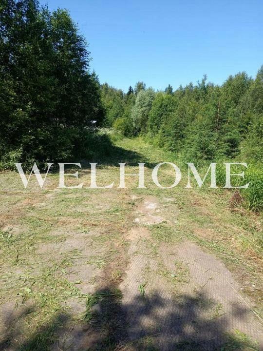 Участок 450 сот.