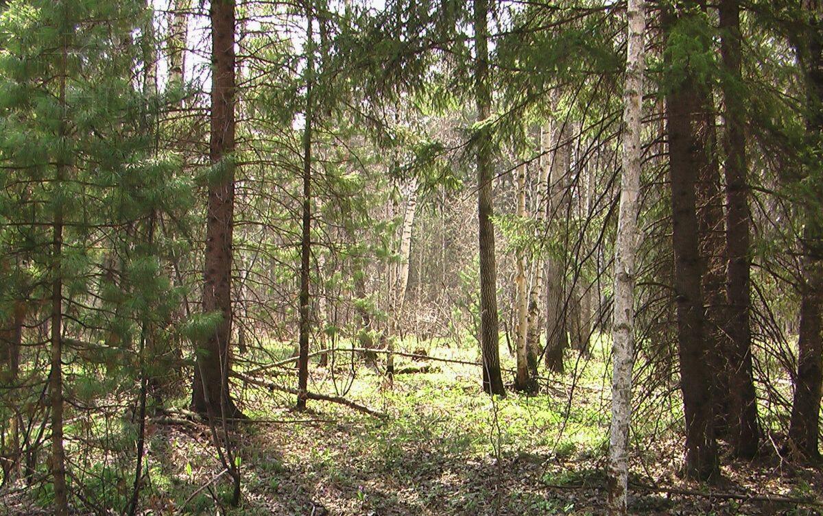 Участок 30 сот. в охраняемом поселке