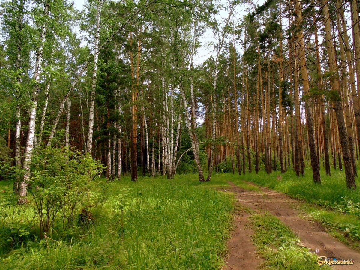 Участок 20.82 сот.