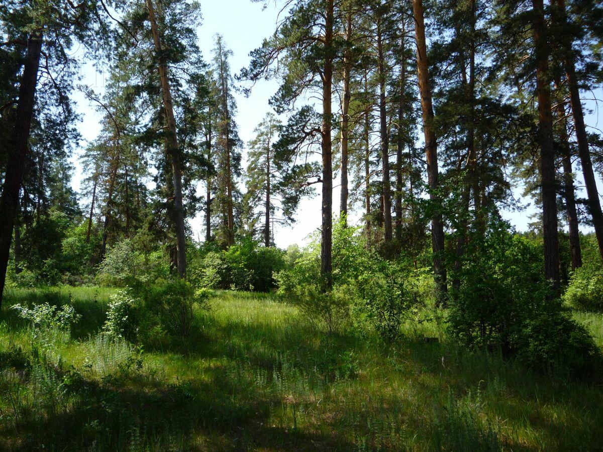 Участок 20.82 сот.