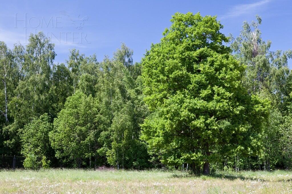 Участок 60.92 сот. в охраняемом поселке