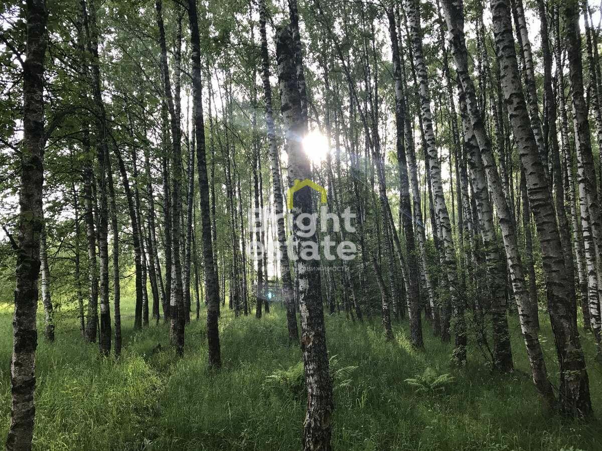 Участок 91 сот. в охраняемом поселке