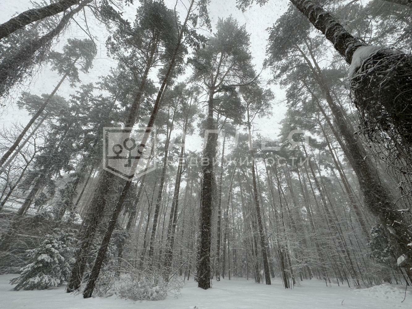 Участок 28 сот. в охраняемом поселке