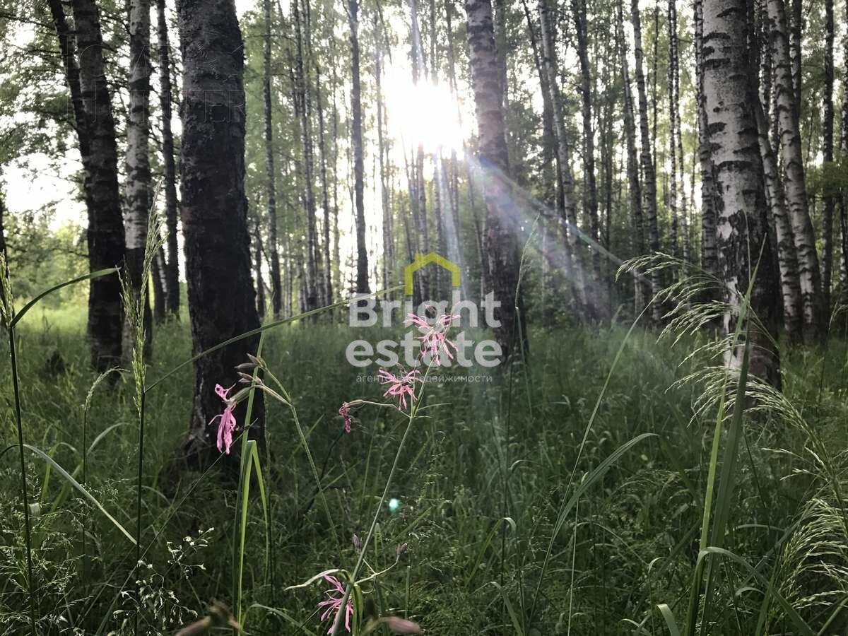 Участок 91 сот. в охраняемом поселке