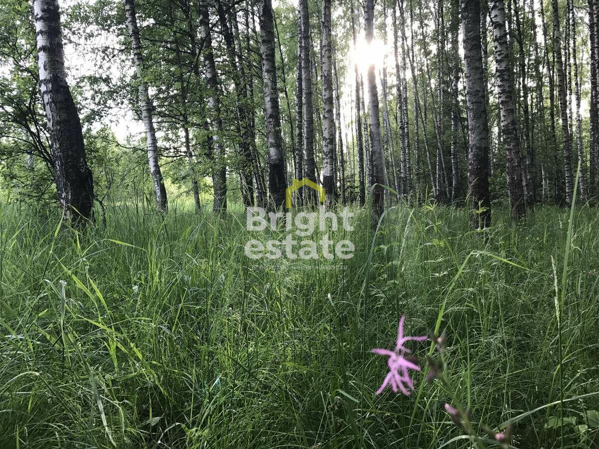 Участок 91 сот. в охраняемом поселке