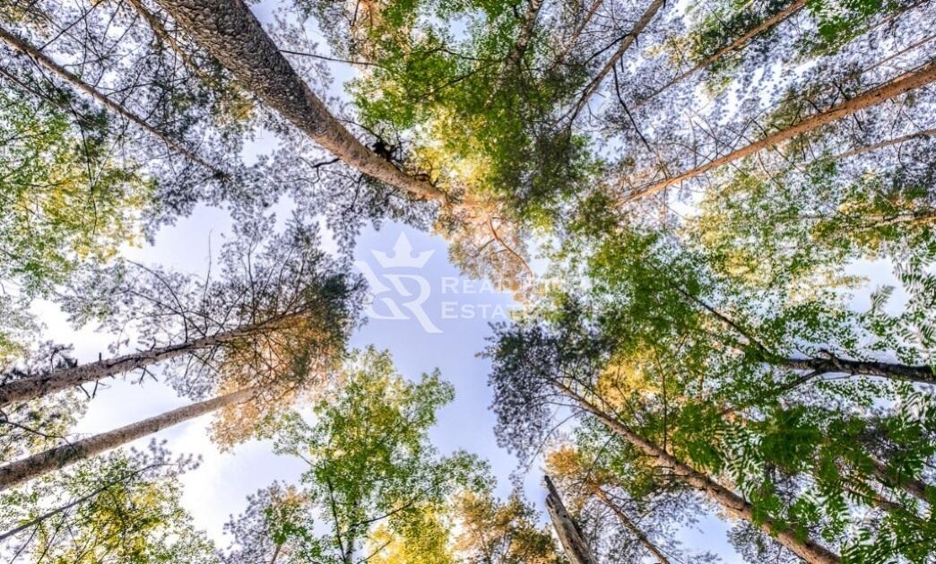 Участок 130 сот.