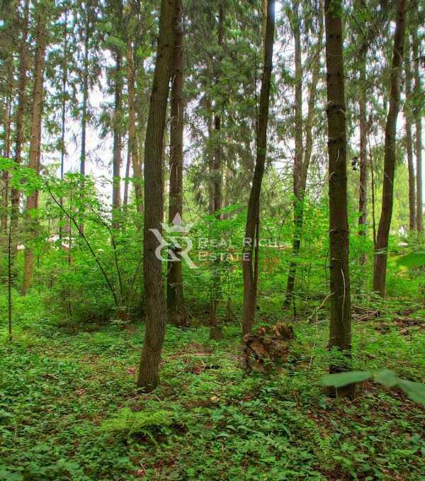 Участок 285 сот. в охраняемом поселке