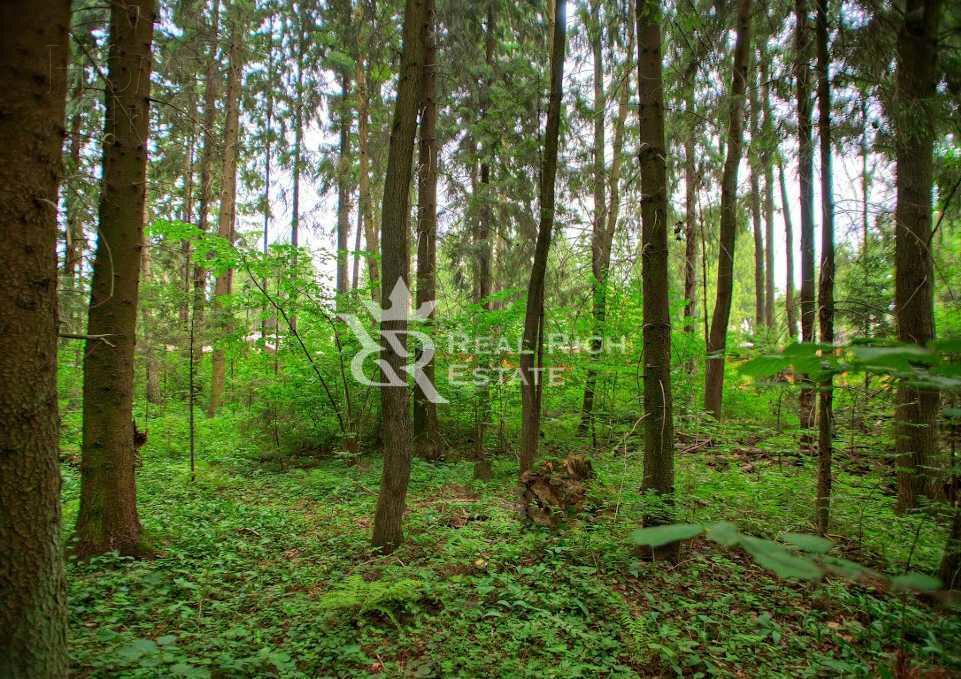 Участок 285 сот. в охраняемом поселке