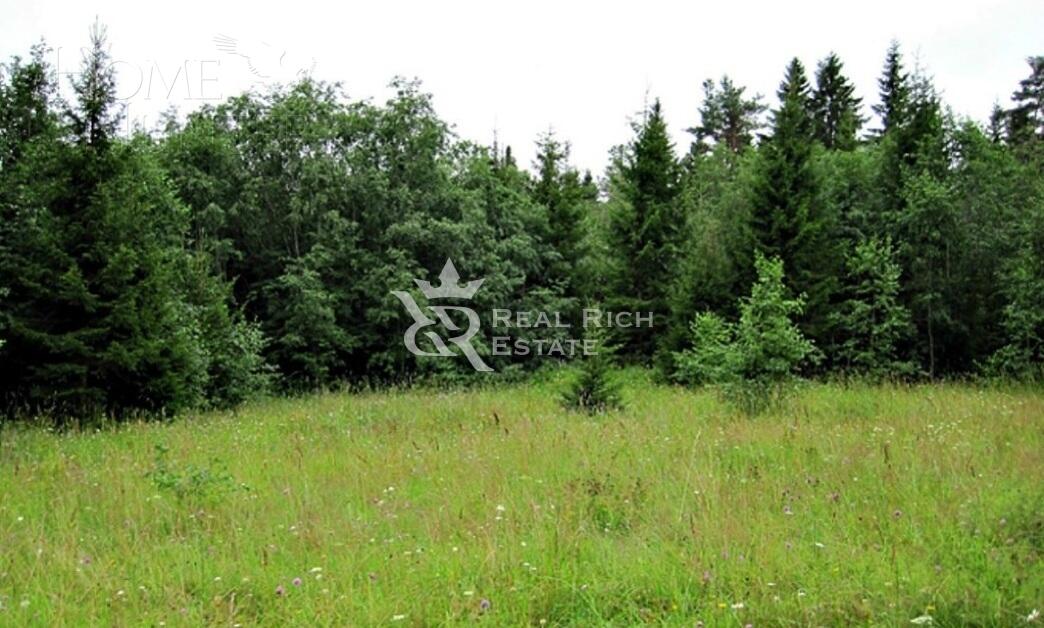 Участок 100 сот.