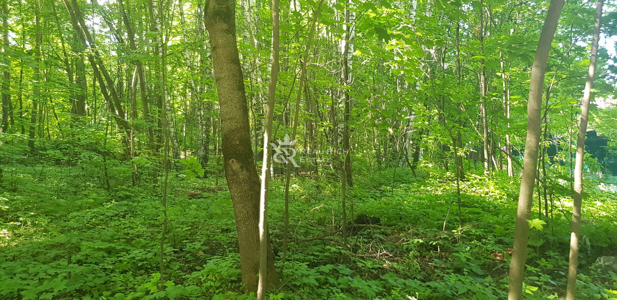 Участок 180 сот. в охраняемом поселке