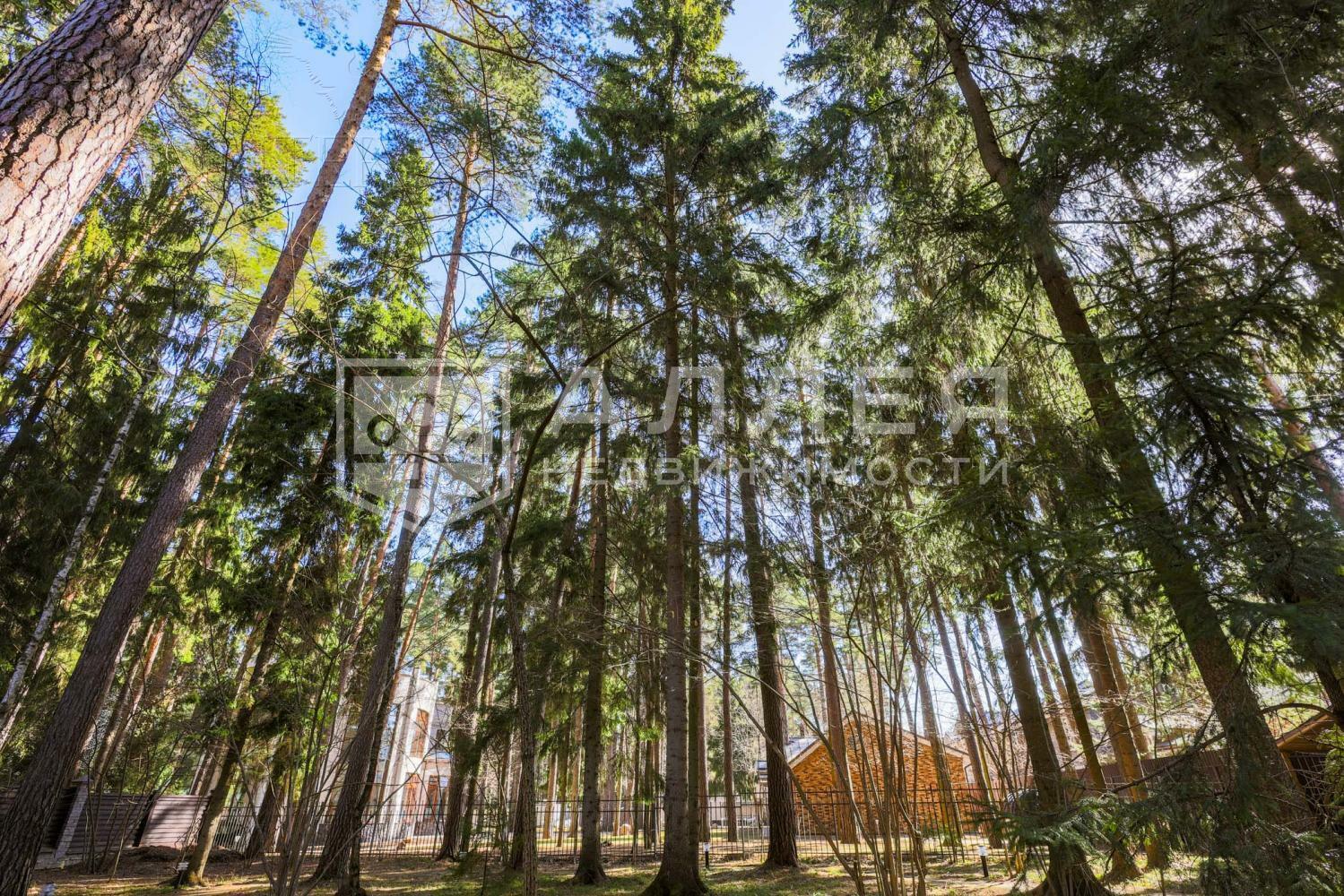 2-этажный коттедж 820 м² с отделкой