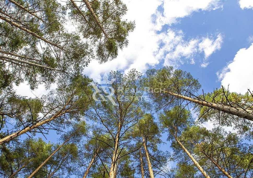 Участок 83 сот. в охраняемом поселке