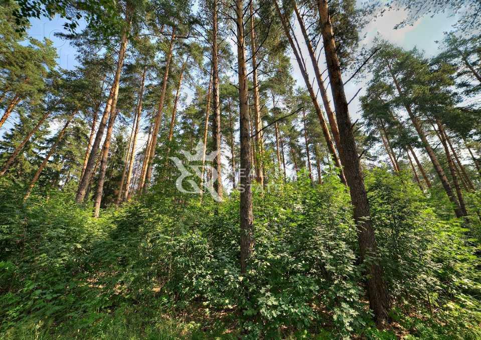 Участок 285 сот. в охраняемом поселке