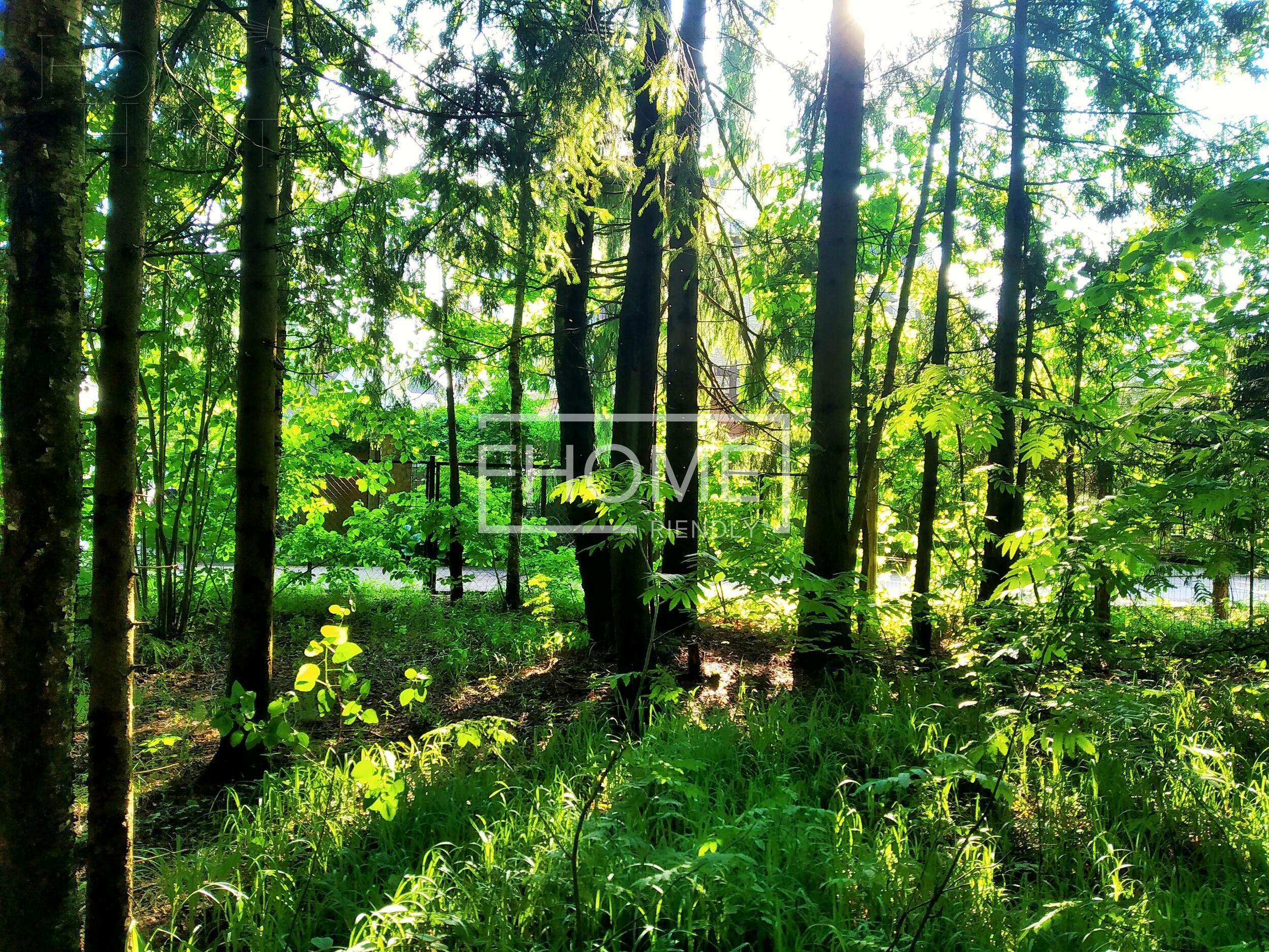 Участок 54 сот.