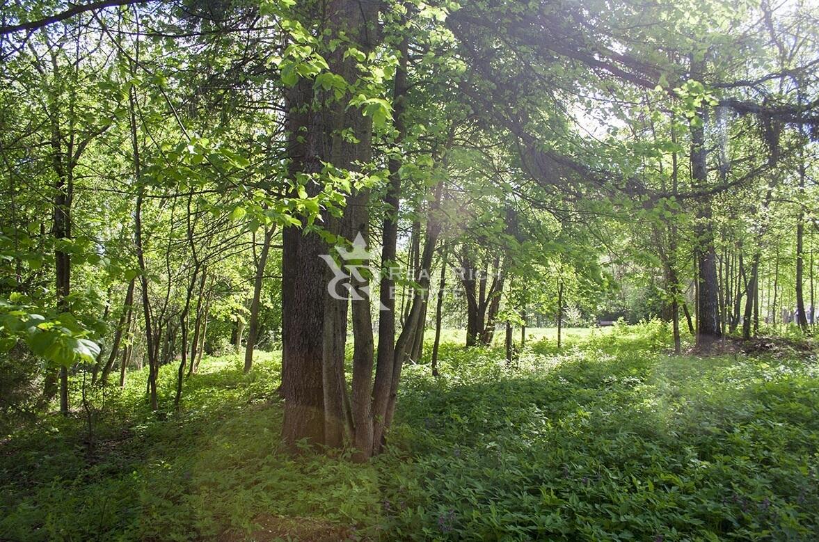 Участок 100 сот.