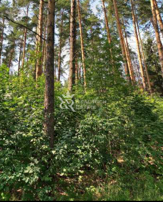 Участок 285 сот. в охраняемом поселке