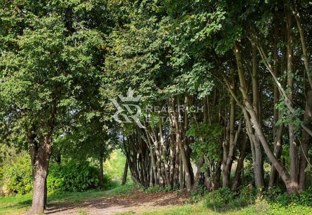 3-этажный коттедж 1 800 м² с отделкой