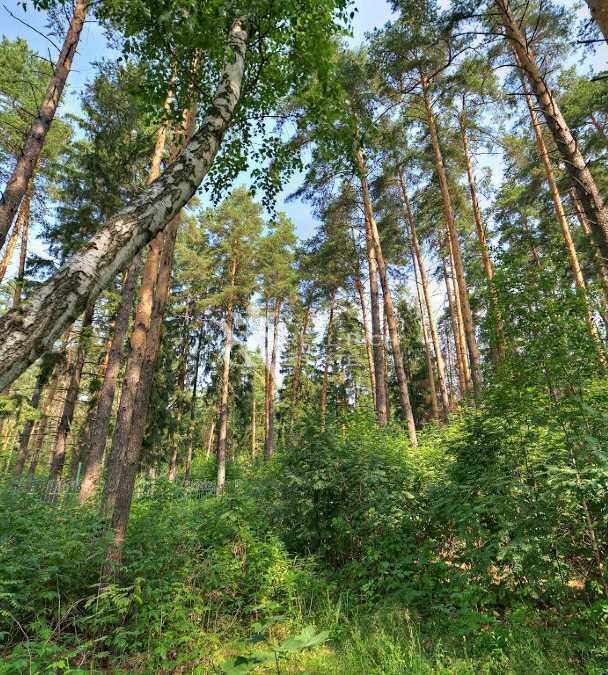 Участок 285 сот. в охраняемом поселке