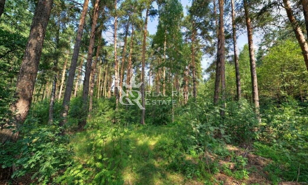 Участок 130 сот.