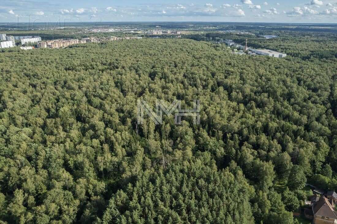 Участок 40 сот.