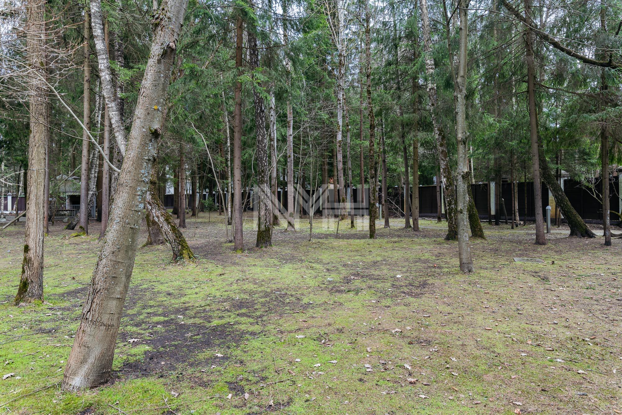 Участок 34.6 сот. в охраняемом поселке