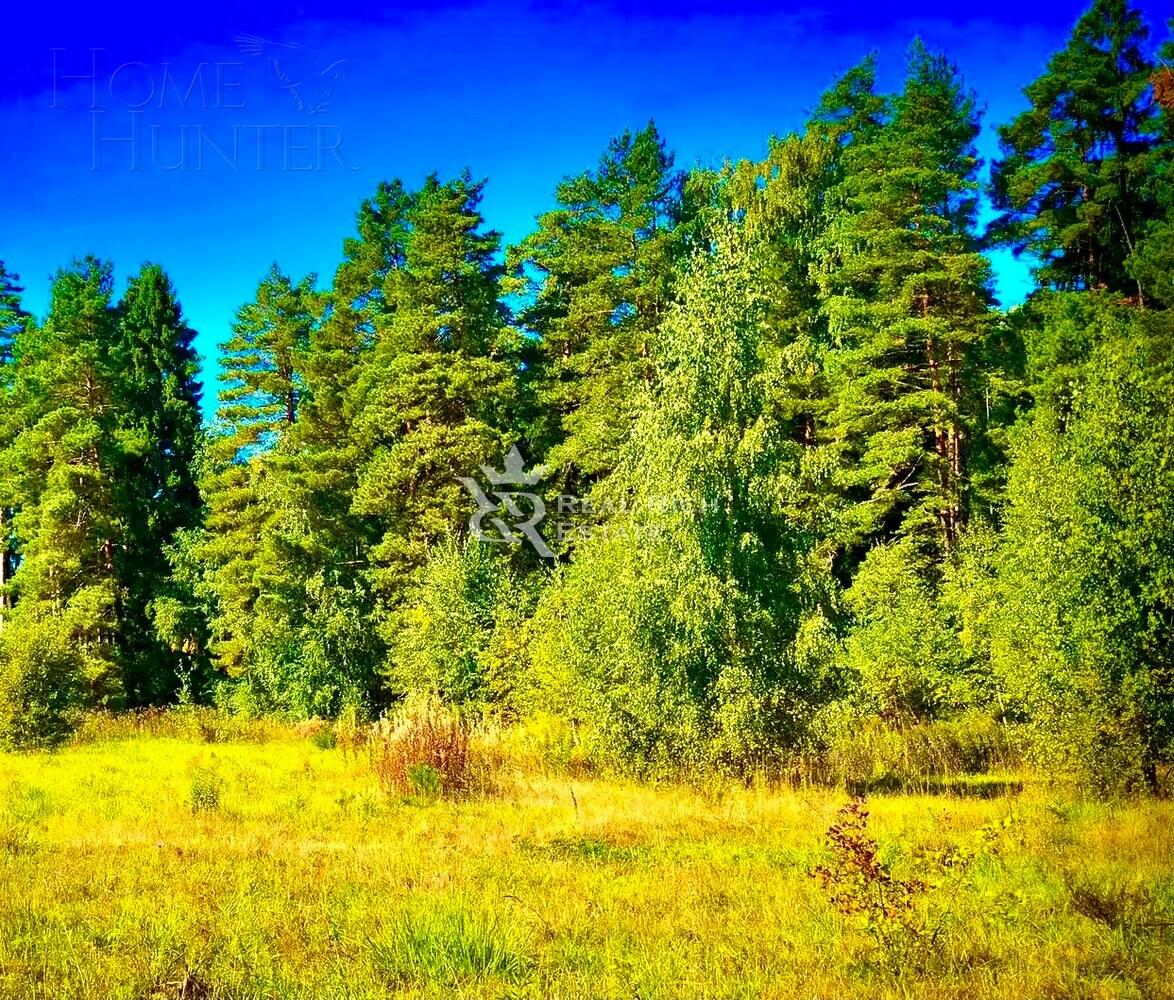 Участок 100 сот.