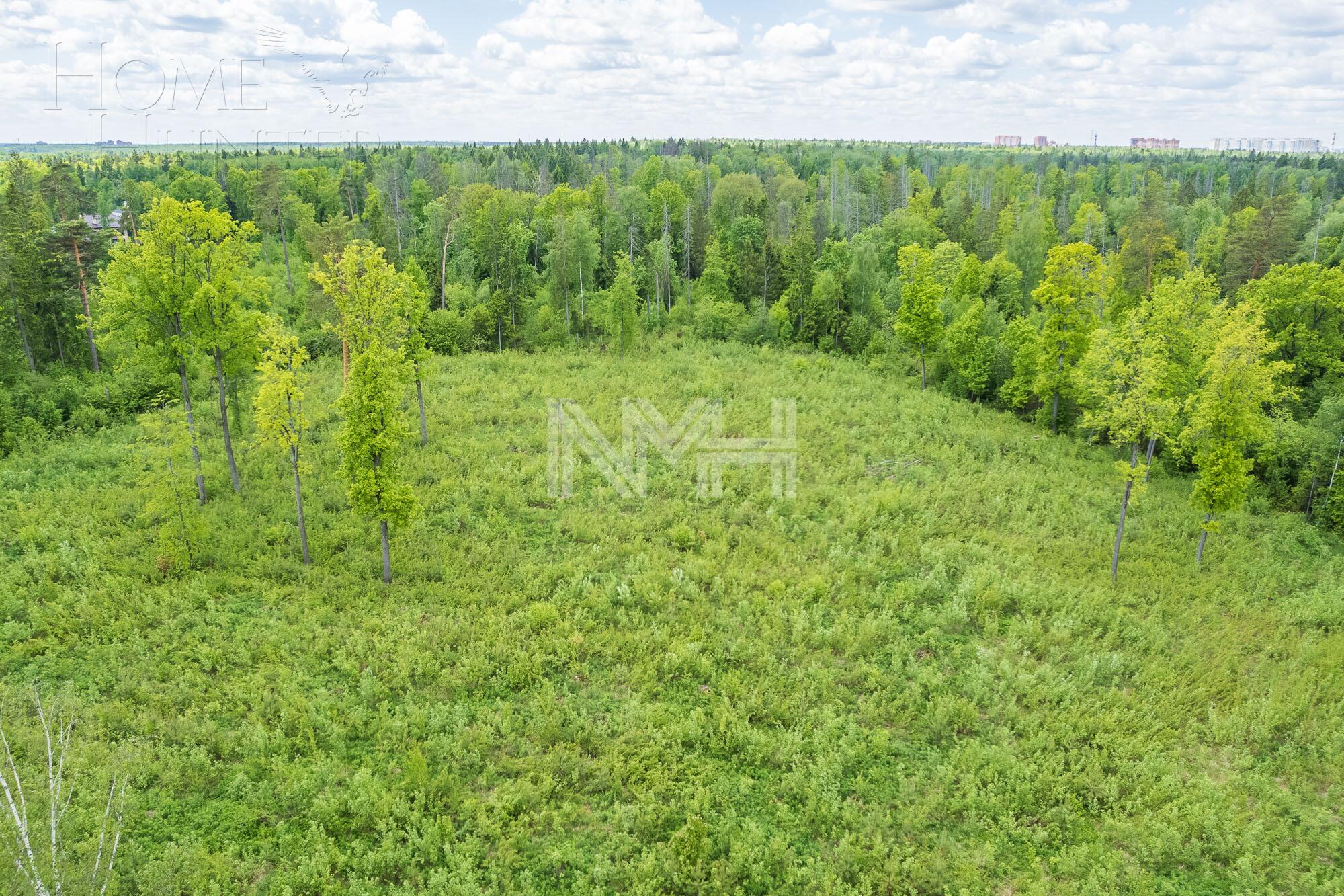 Участок 29.04 сот.