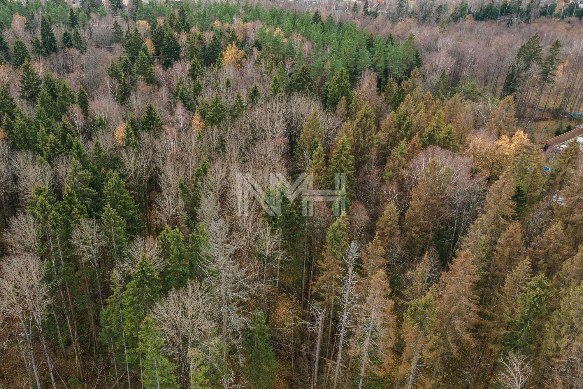 Участок 75 сот.