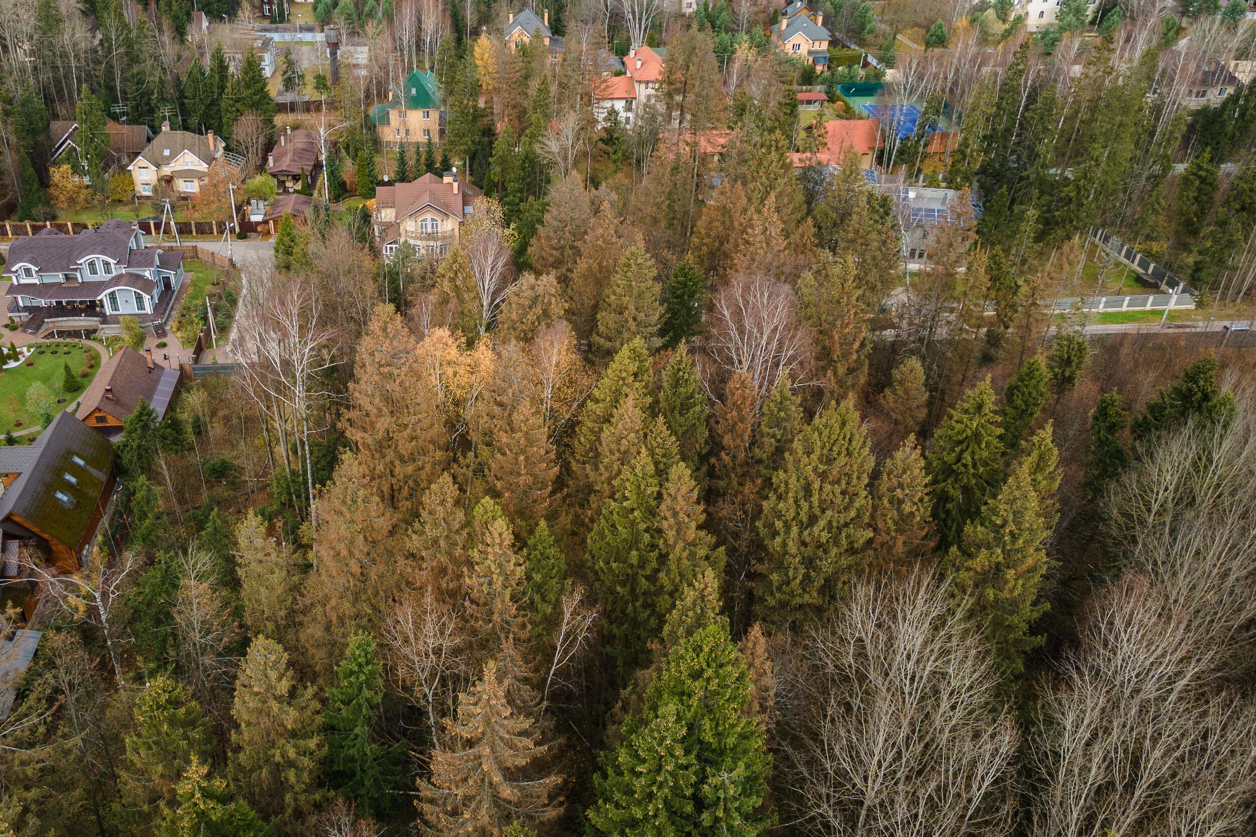 Участок 75 сот.