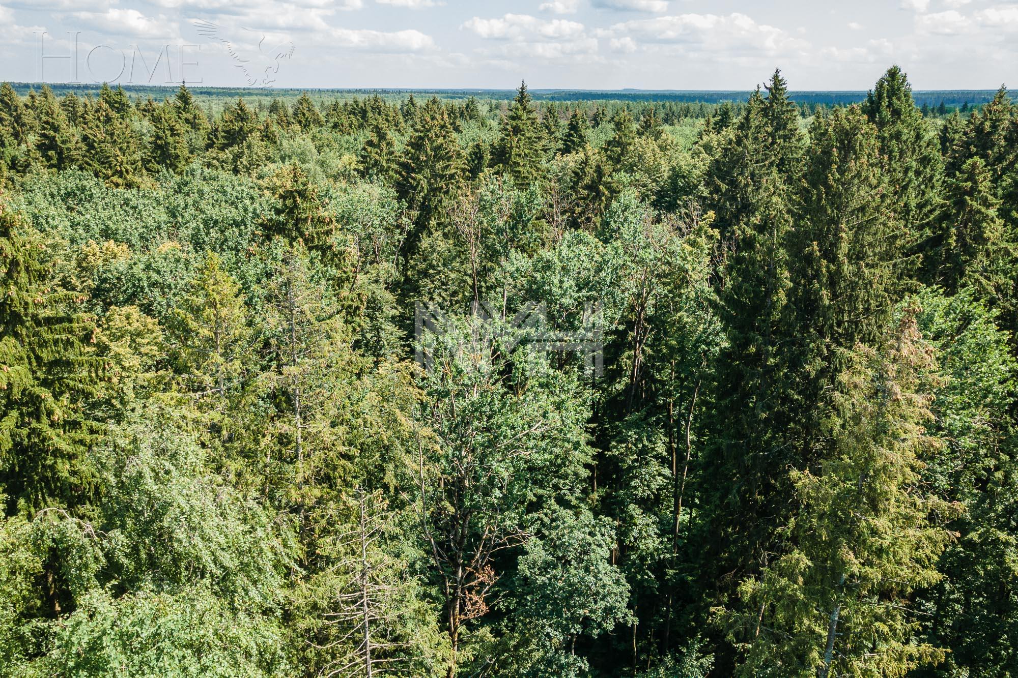 2-этажный коттедж 655 м² с отделкой