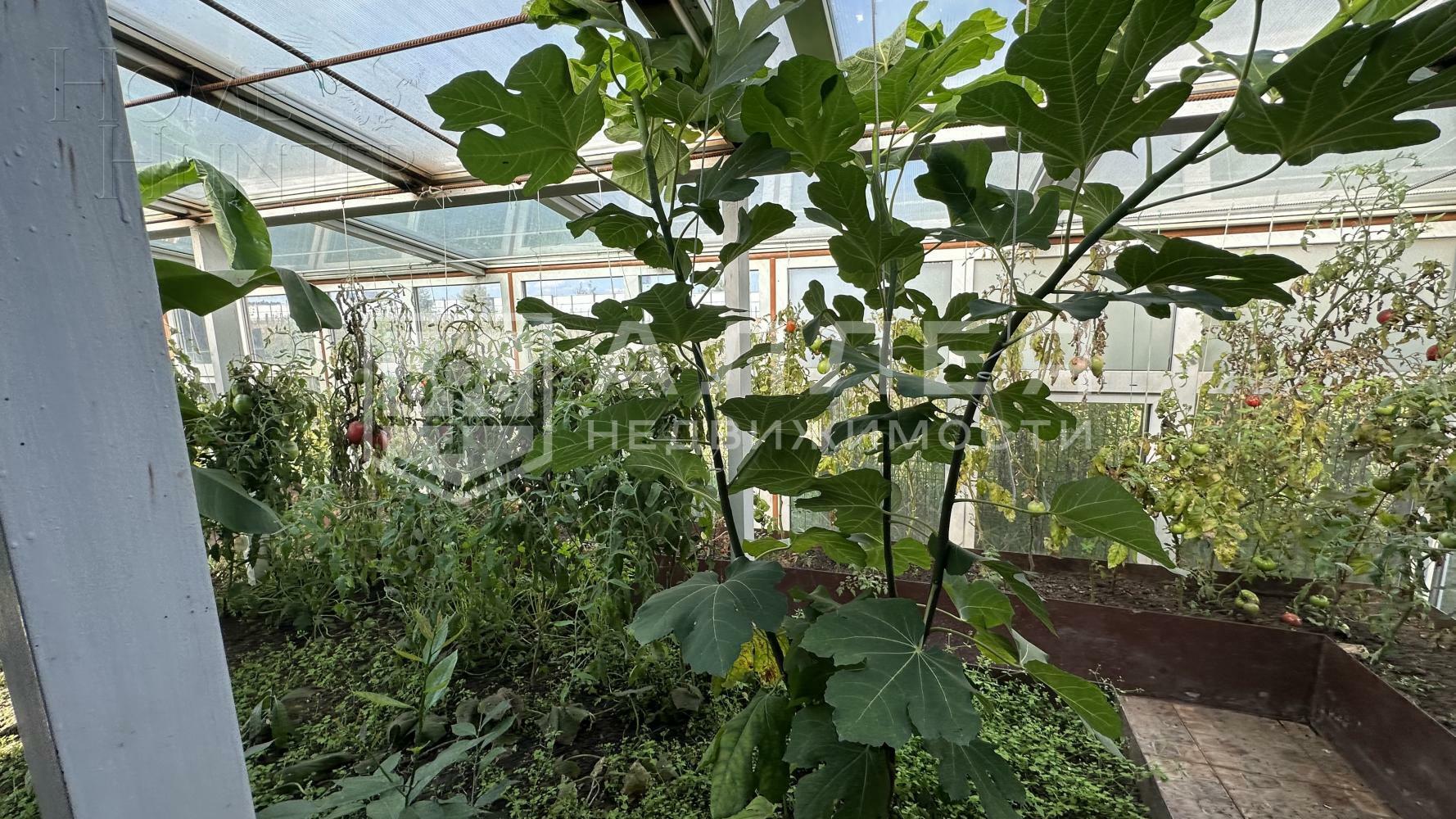 1-этажный коттедж 520.9 м² без отделки