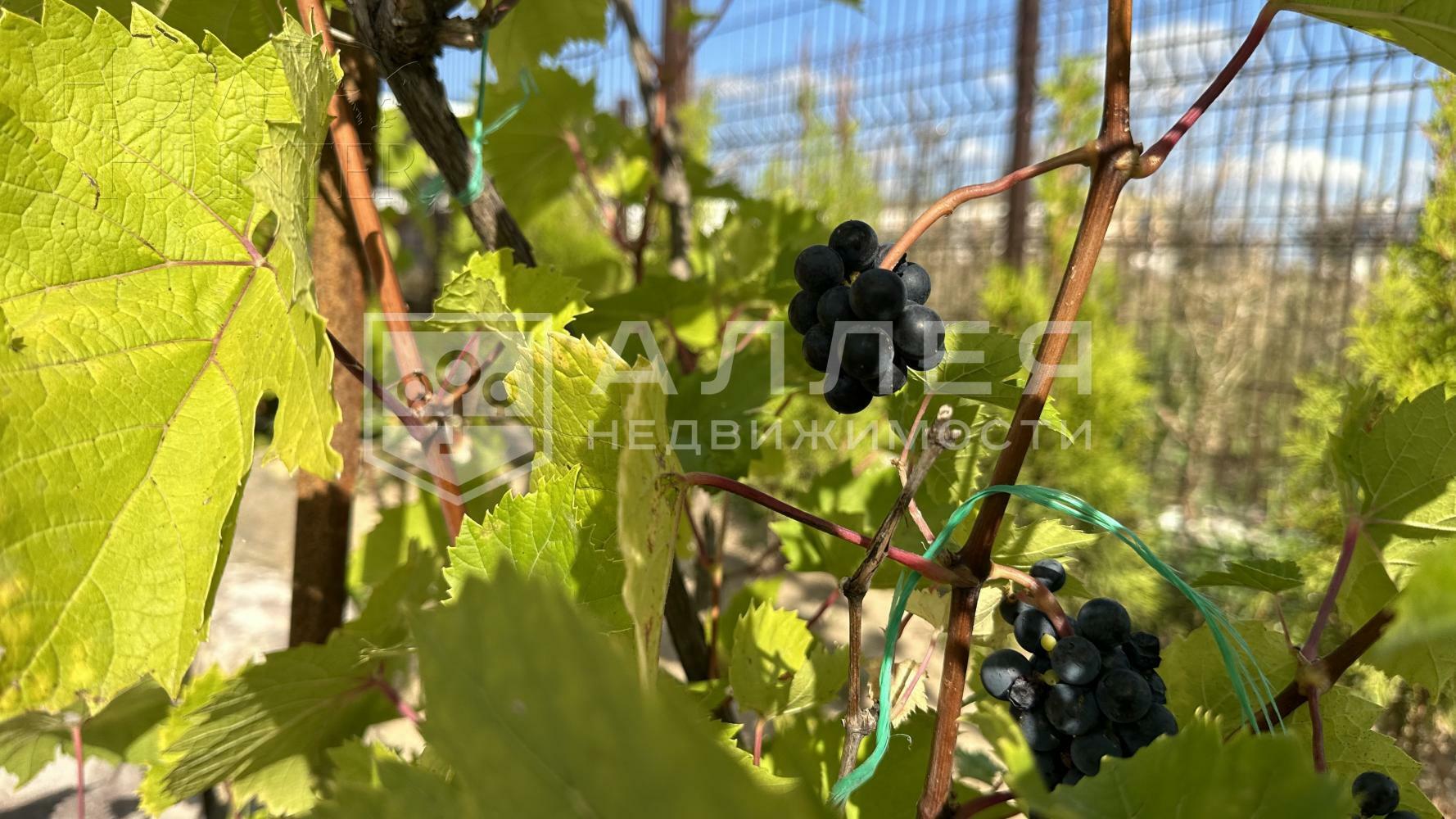 1-этажный коттедж 520.9 м² без отделки