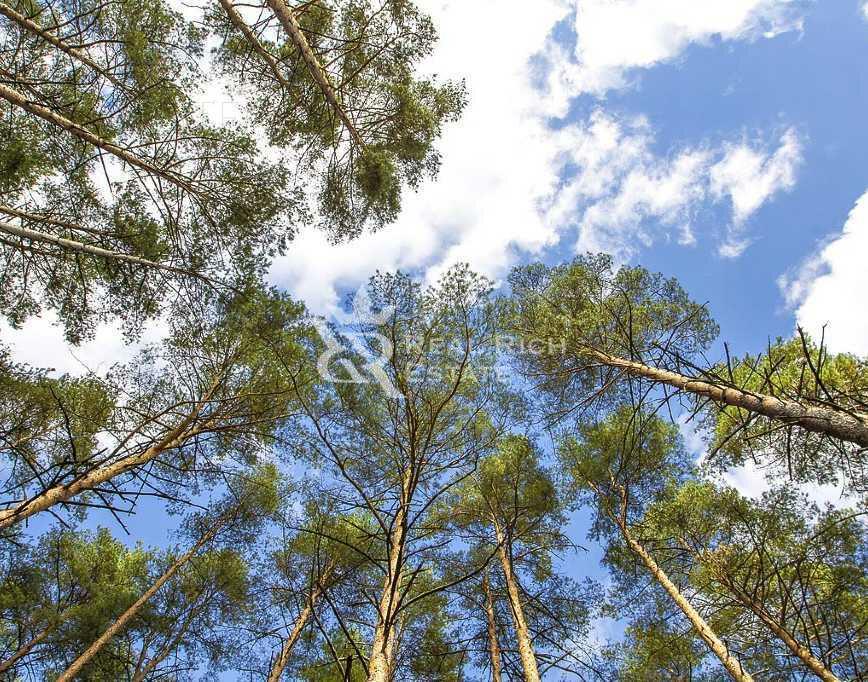 Участок 48.5 сот. в охраняемом поселке